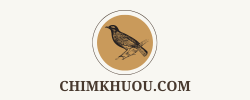 chimkhuou.com